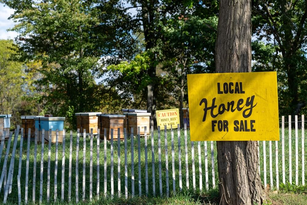 A bright yellow sign promoting local honey for sale.