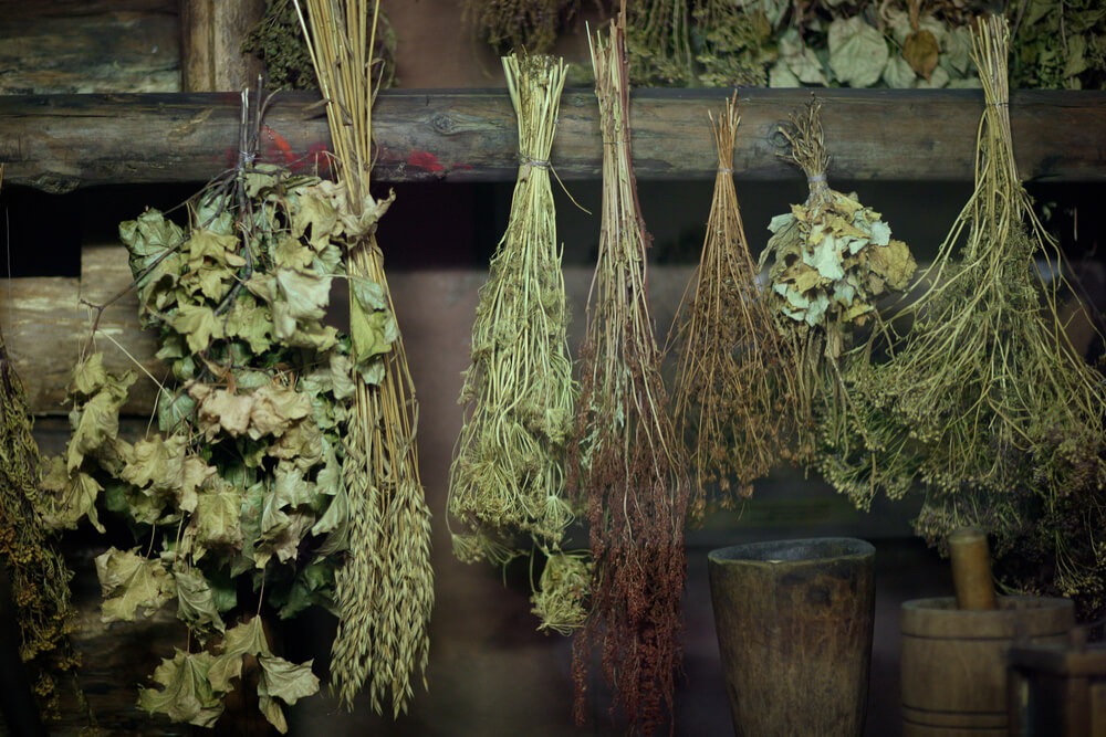 Drying some garden herbs by dangling them over the open air.