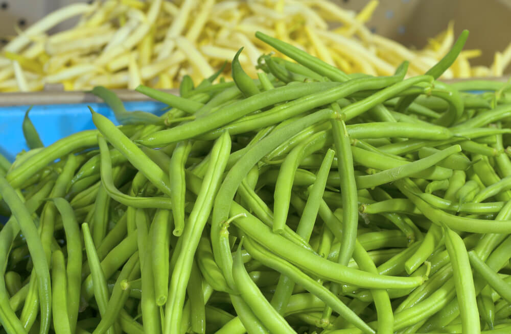 Freshly harvested jade beans for sale at the farmers market.