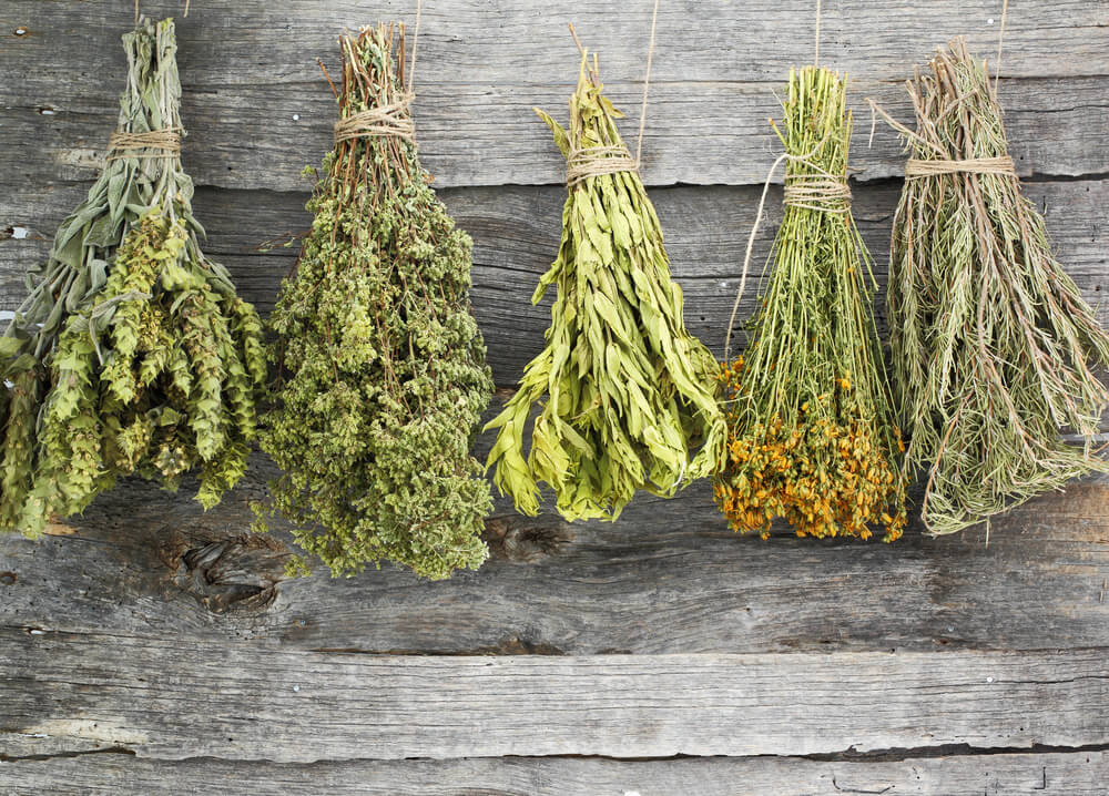 Garden herb bundles hanging and drying.