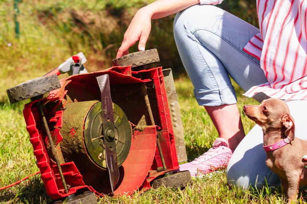 Homesteader maintaining a push lawnmower with the help of their dog assistant.