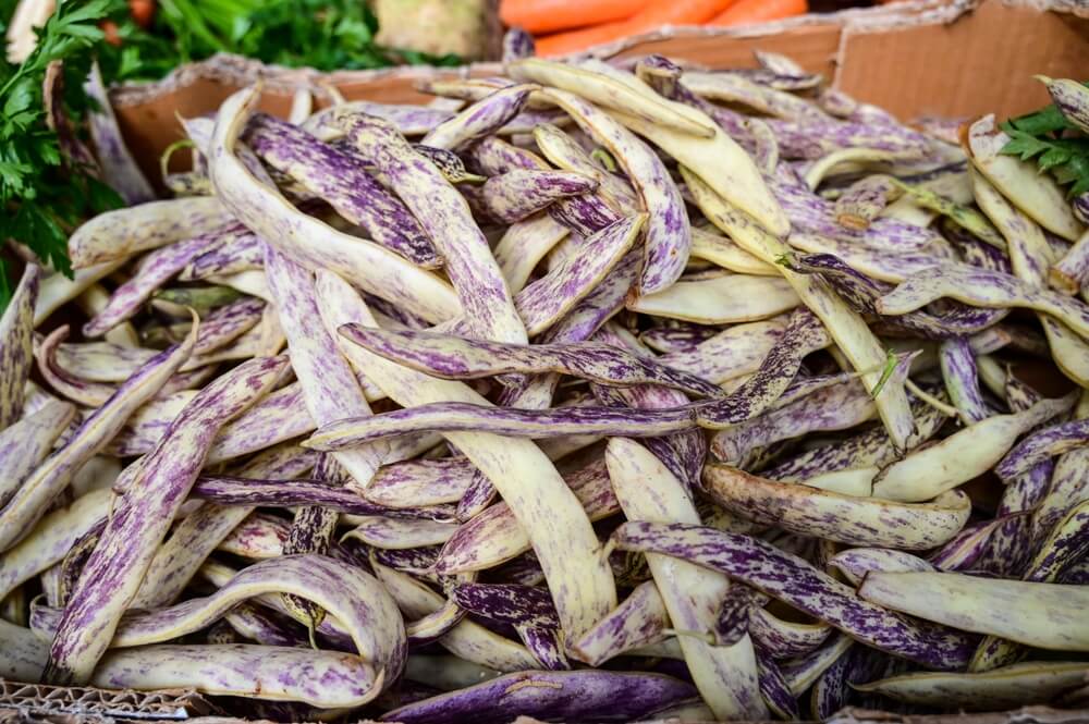 Lovely dragon tongue beans for sale at the organic market.