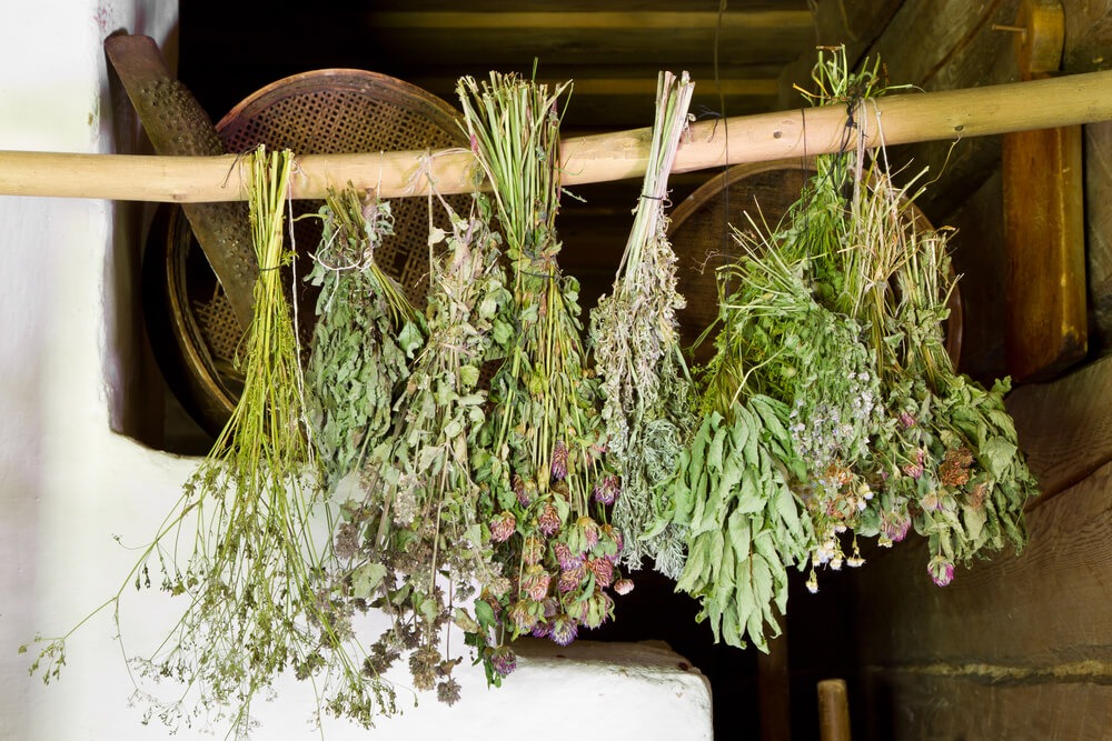 Lovely garden herbs dangling and air drying for long term storage.