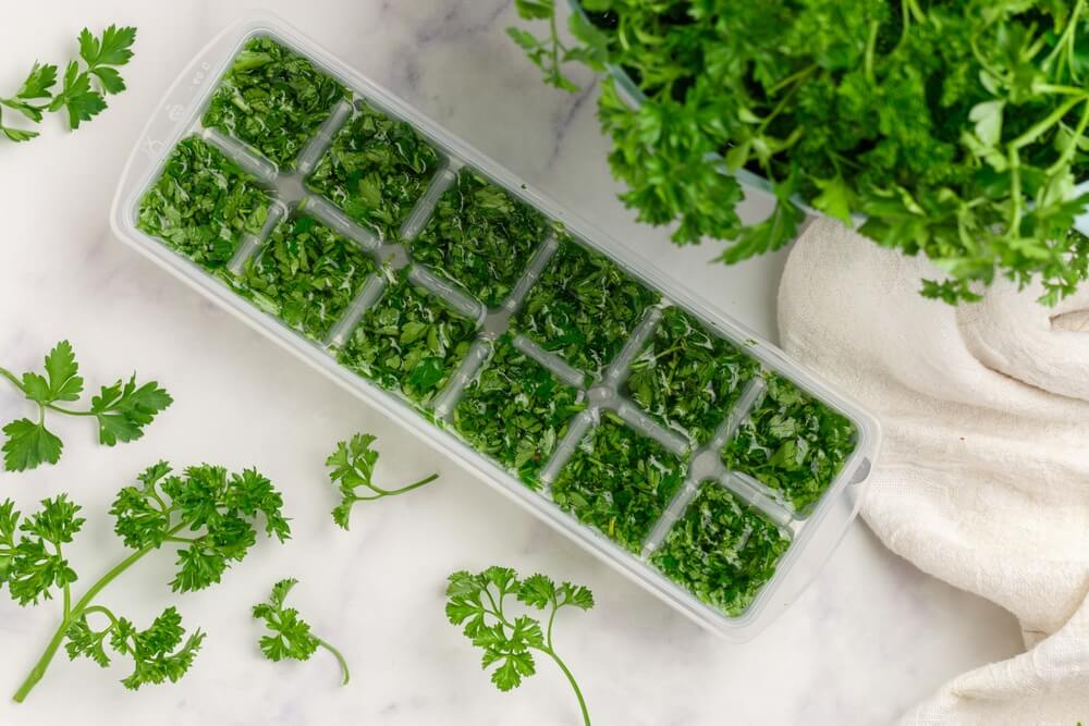 Lovely parsley ice cubes for long term preservation and easy home cooking.