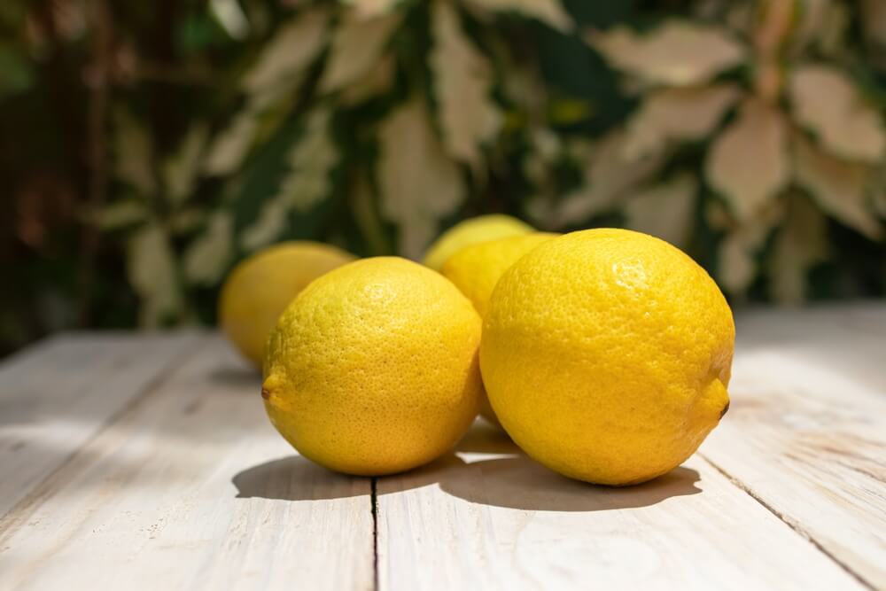 Yummy yellow Lisbon lemons resting on a wooden table.