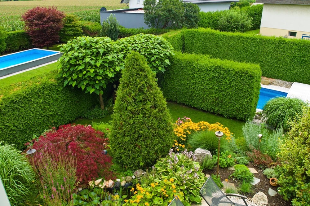 A gorgeous garden with interior shrubs and a swimming pool and ornamental trees.