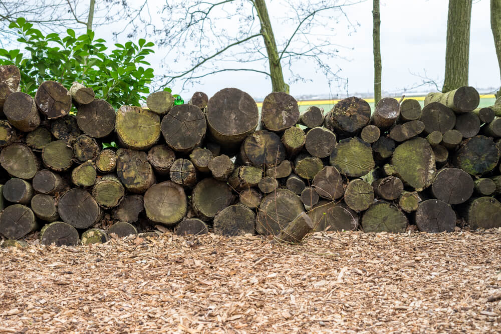 A large log hedge offering privacy while the wood cures seasons and dries.