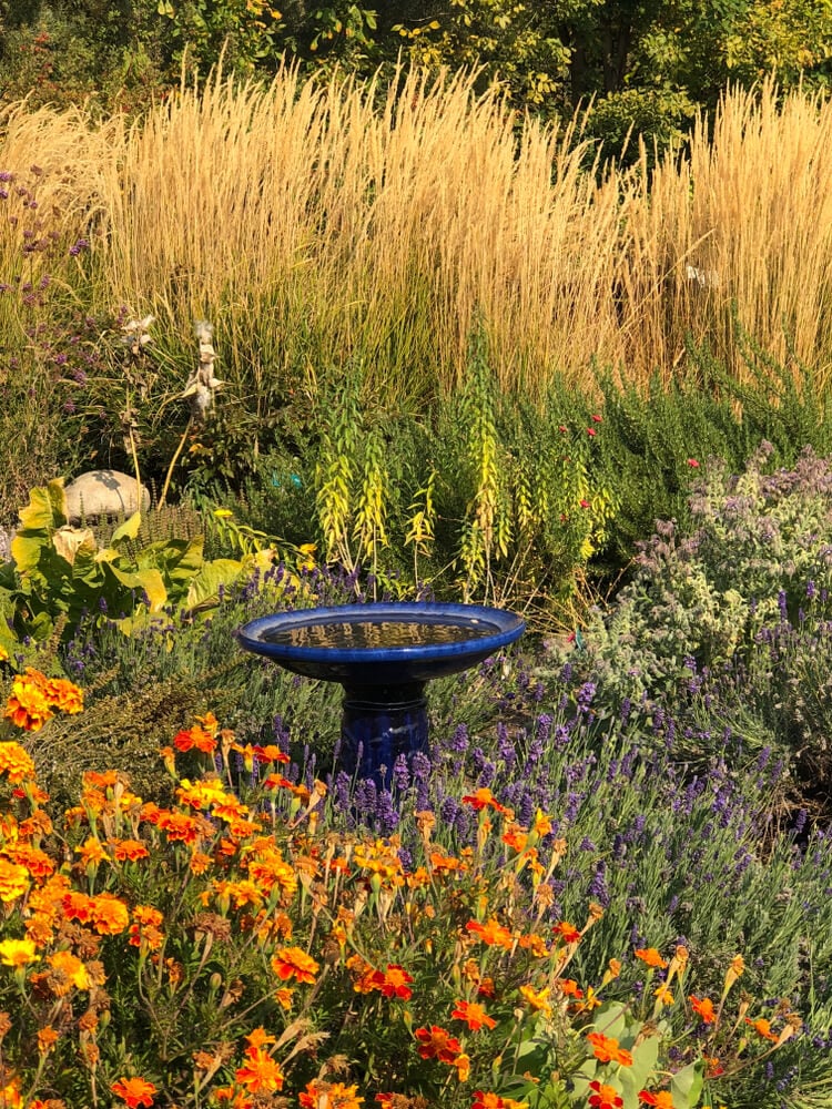A gorgeous birdbath in the garden.