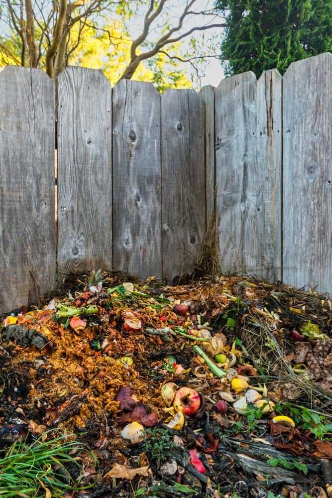A small compost file with fall leaves and kitchen scraps.