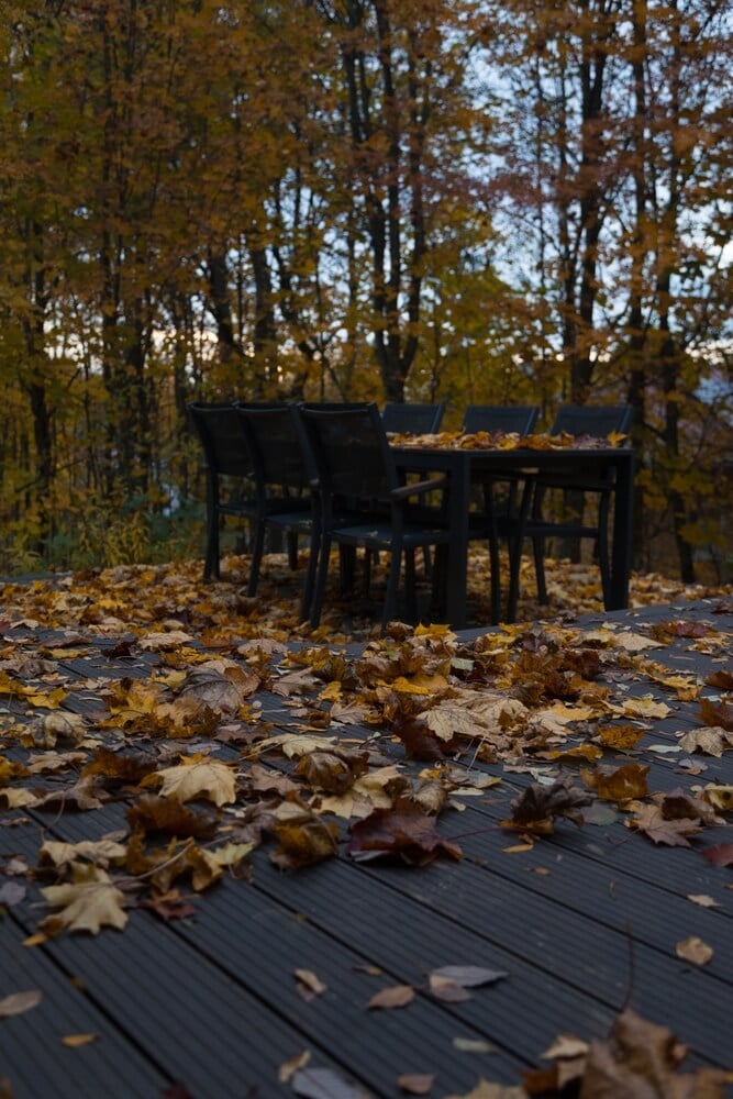Autumn terrace covered in fallen autumn leaves.