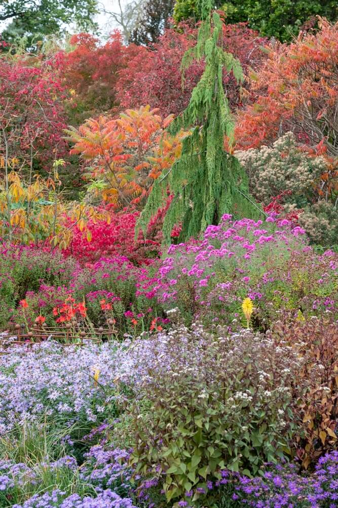 Deep autumn colors on display in a gorgeous fall garden.