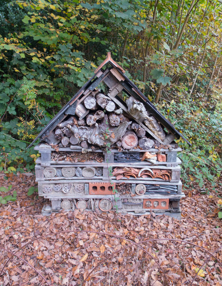 Epic bug house hotel on a bed of autumnal leaves.