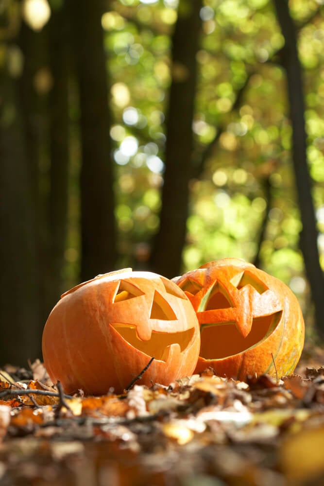 Halloween pumpkins resting on autumn leaves.