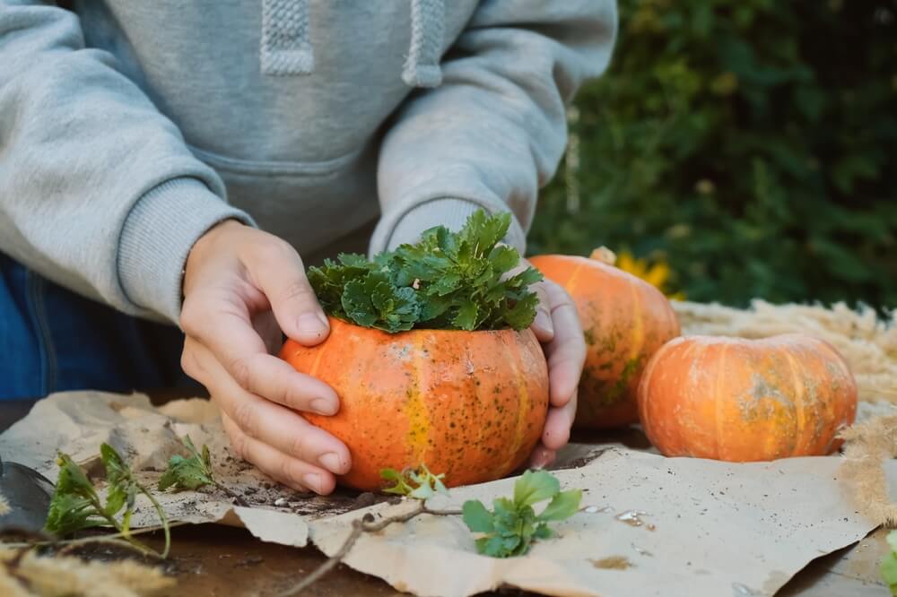 Lovely thanksgiving day garden pumpkin planter.
