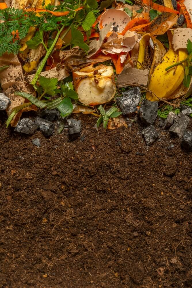 Organic compost from biodegradable kitchen waste and soil.