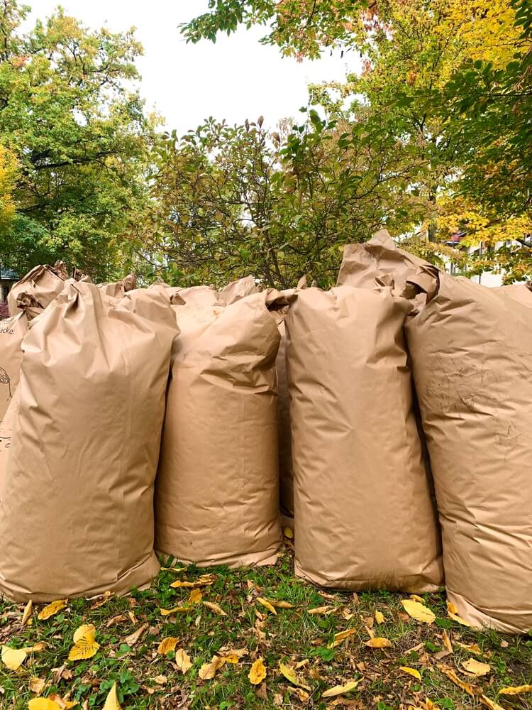 Paper bags filled with autumn leaves ready for cleanup.