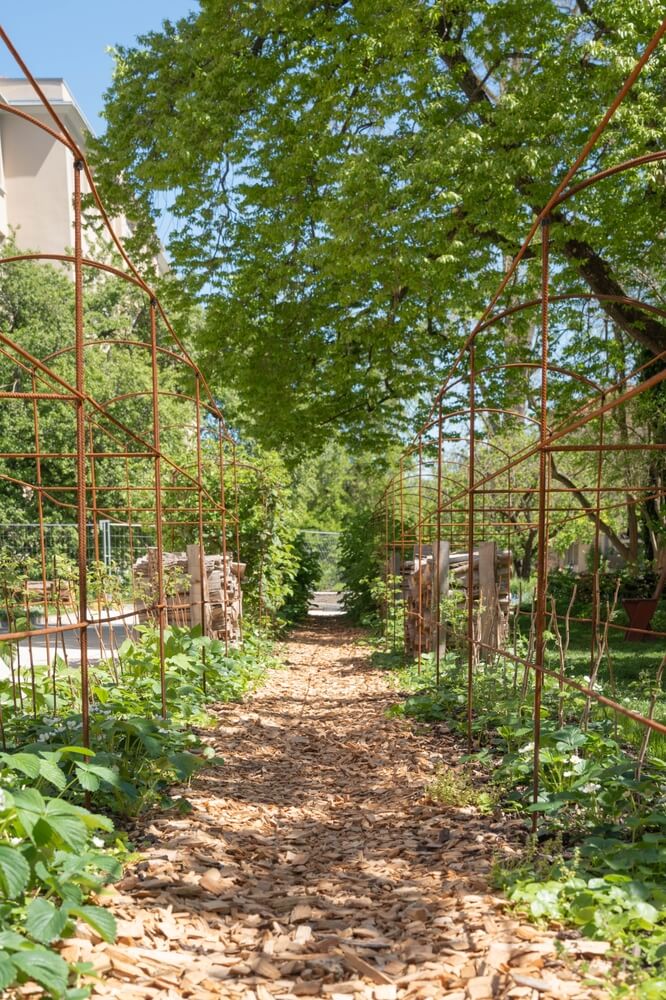 Sunny garden path lined with logs and trees leading to statue.