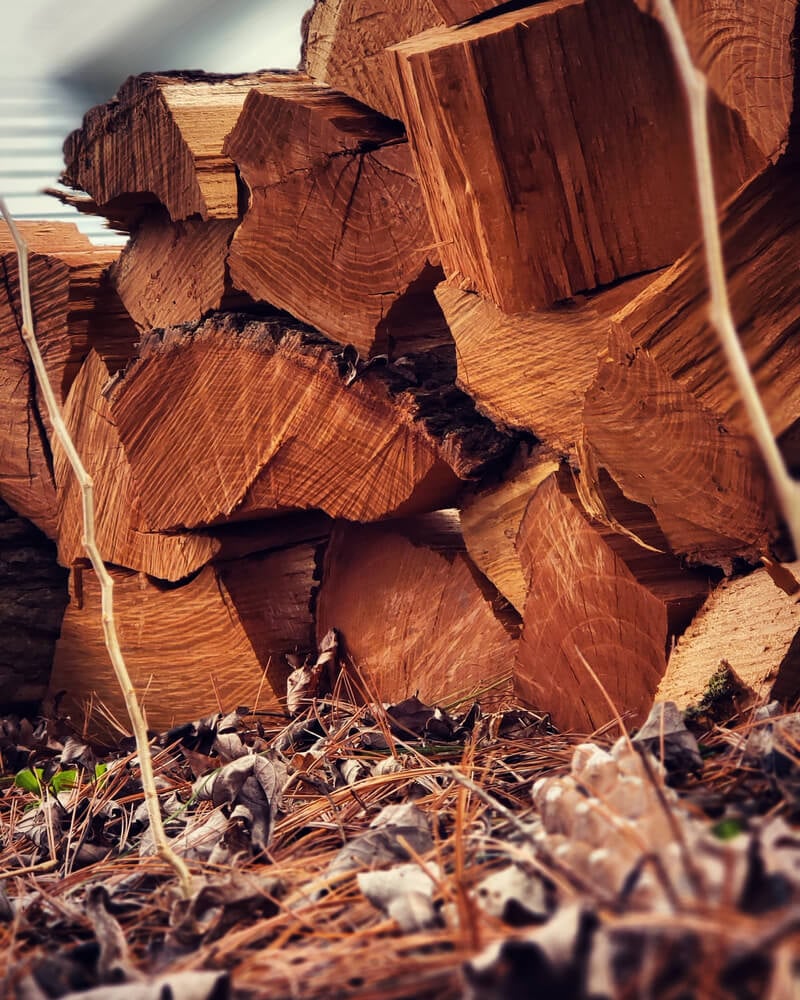 Wood pile of Osage orange logs ready for burning.