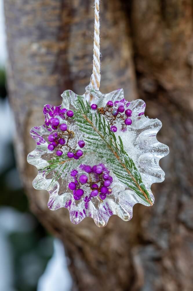 Hanging ice decorations with Bodinier beautyberries and fir branches in a winter garden.