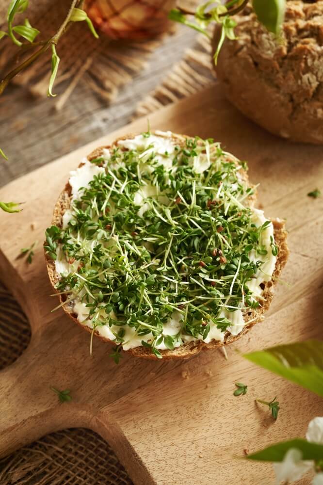 Homegrown garden cress sprouts on a bun with butter.