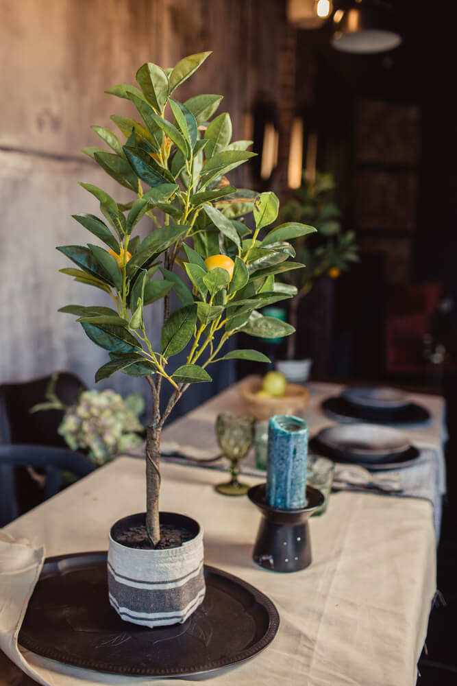 A lemon tree is on the table in the interior, serving as a decorative tree with lemons for restaurant decoration.
