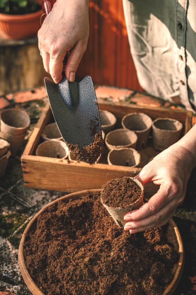 Carefully filling grow cups with soil.