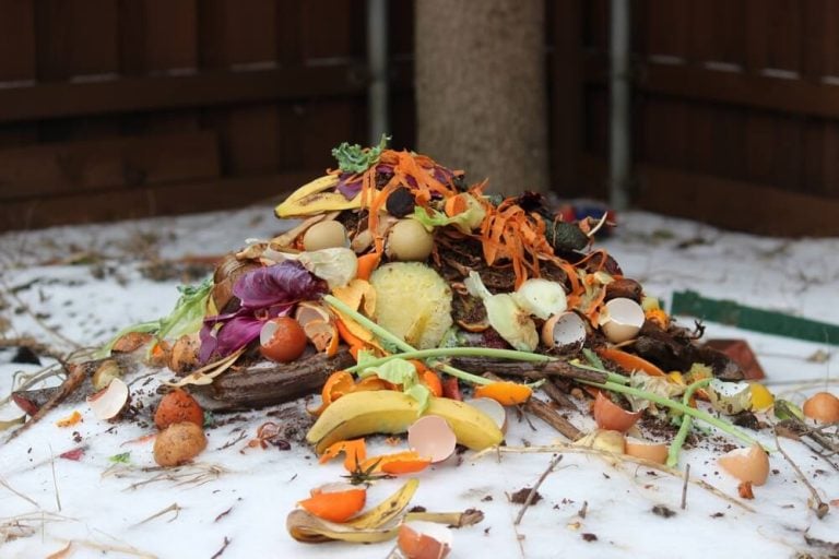 Colorful winter compost pile in the yard.
