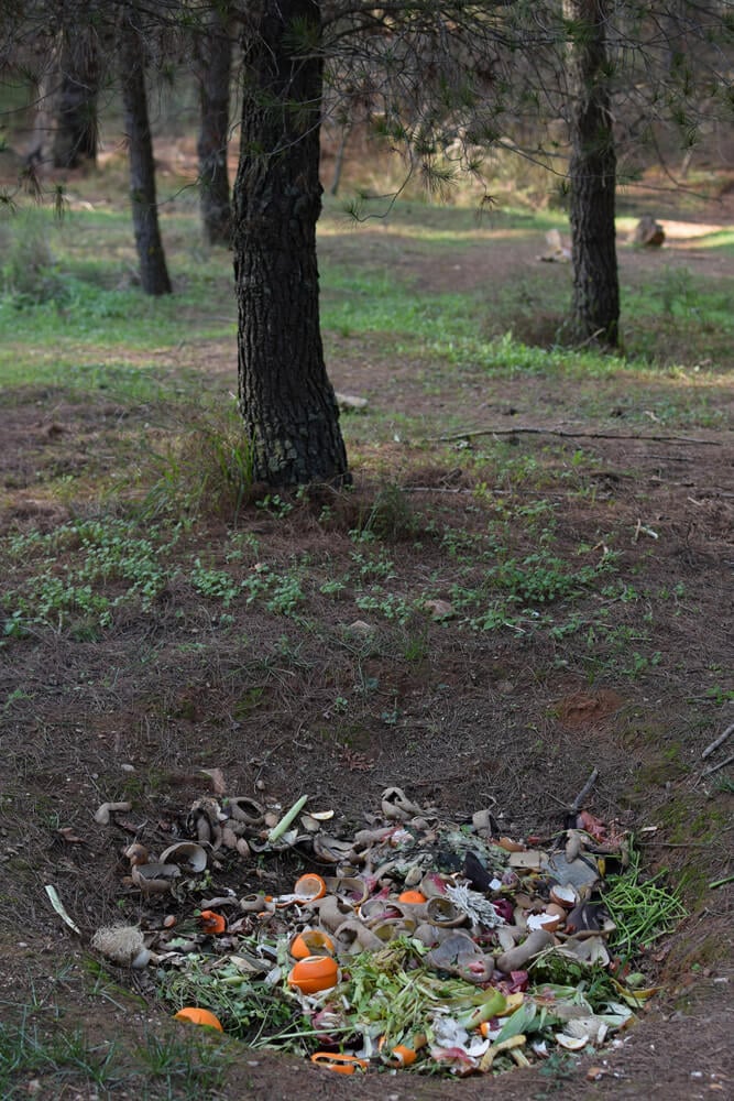 Compost ground hole with biodegradable green waste in woods, pit composting.