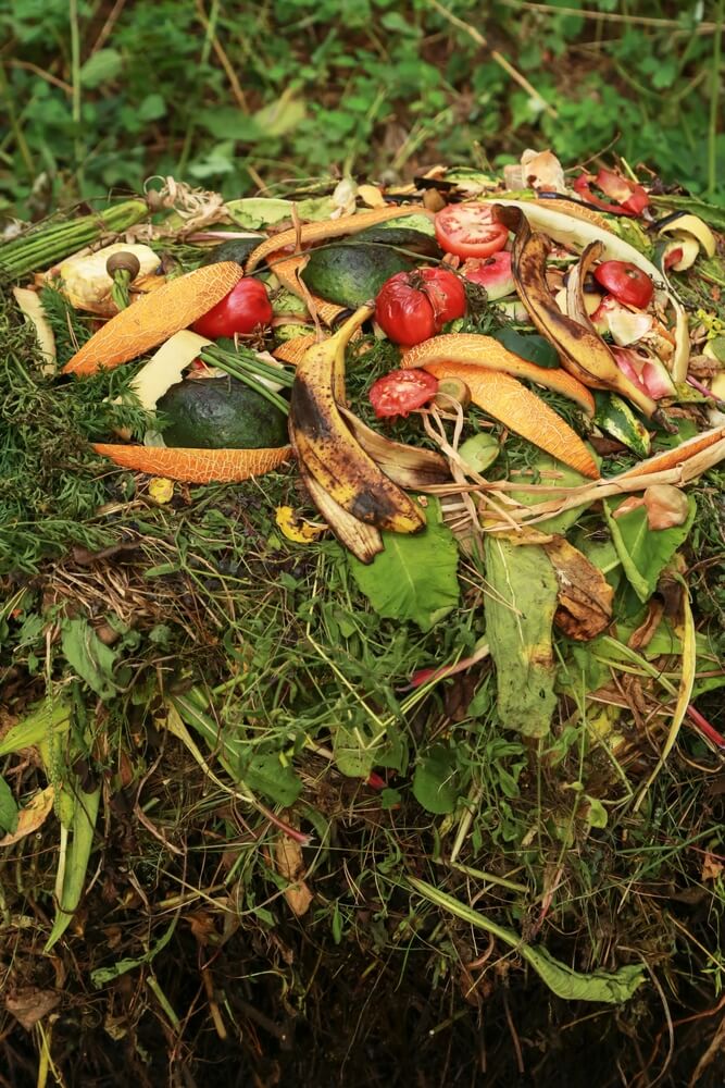 Finely chopped compost for the backyard pile.