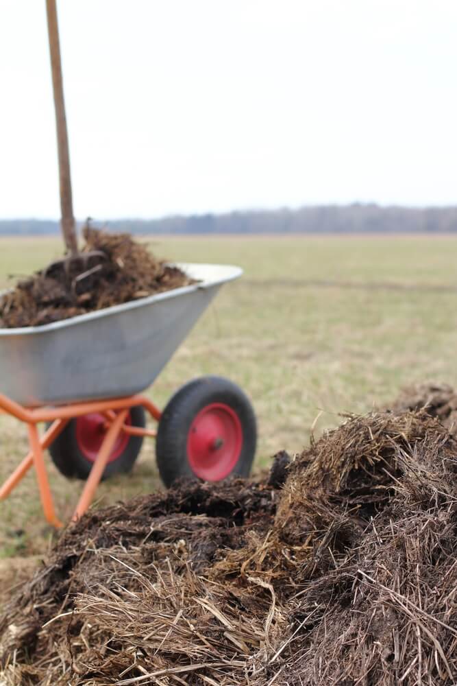Pile of fresh compost with wheelbarrow and pitchfork in field, useful fertilizers.