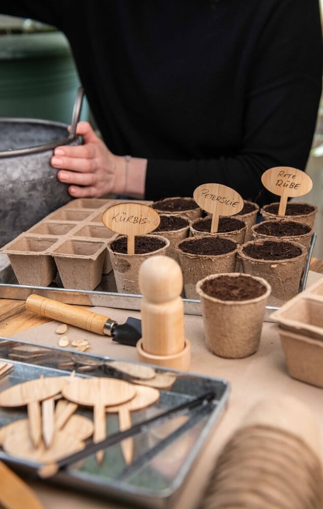 Sowing seeds in peat pot, filling pot with soil, planting vegetables yourself.