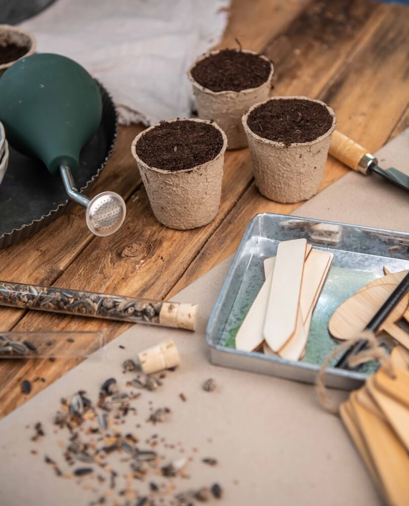 Sowing seeds in peat pot, filling pot with soil, planting veggies.