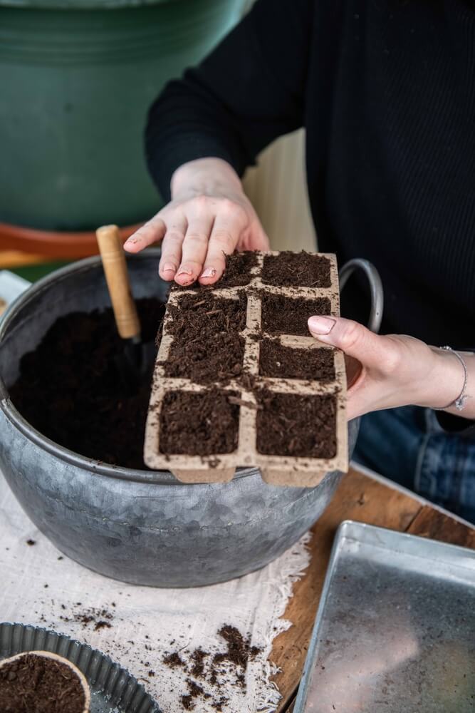 Sowing seeds in peat pots, filling pot with soil, planting veggies.