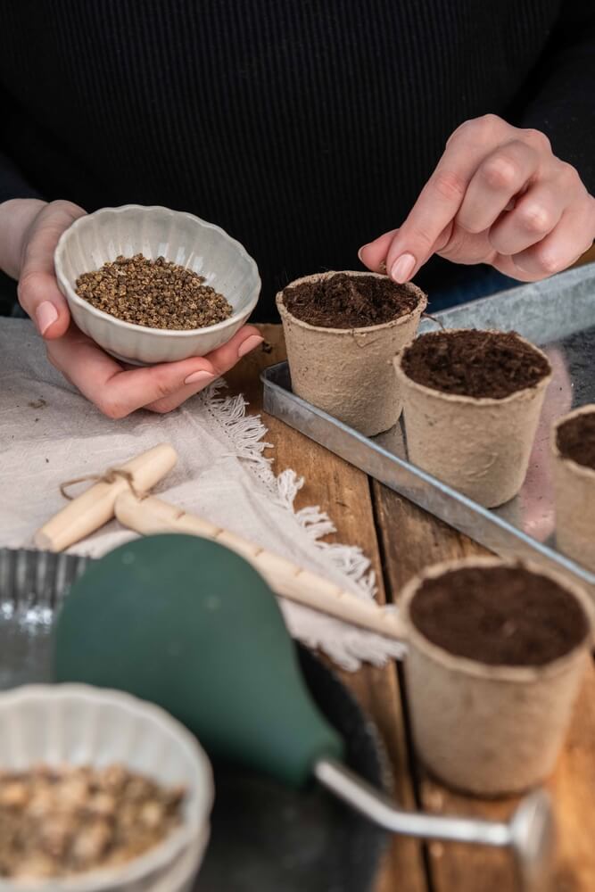 Sowing seeds in peat pots, filling soil, planting vegetables.