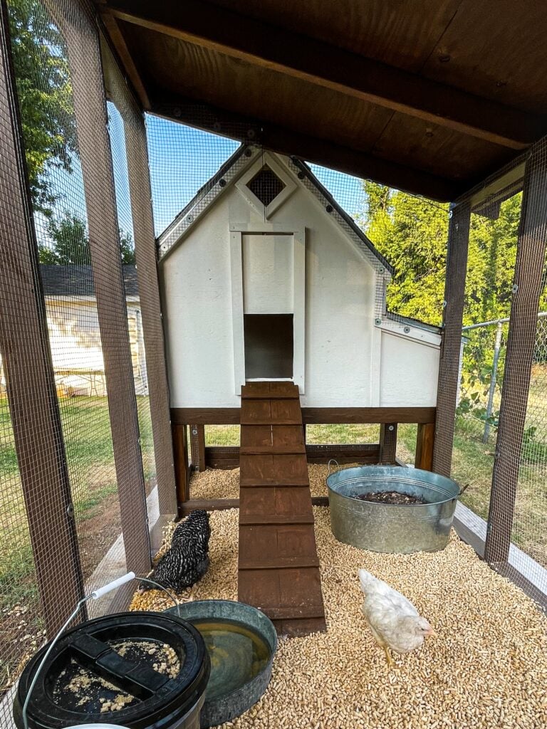 Backyard chicken coop for small flock