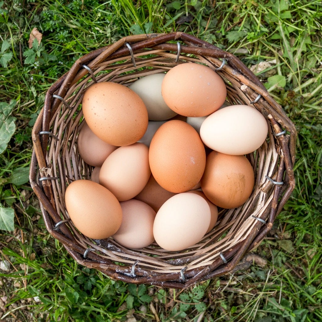 Basket full of eggs on the grass.