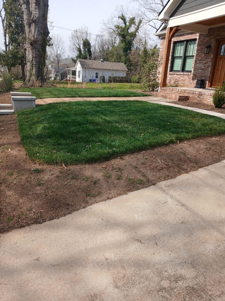 Beautiful front yard sod green 