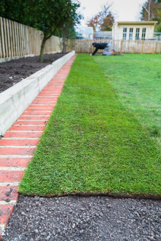 New grass turf being installed in a garden along new brick edging.