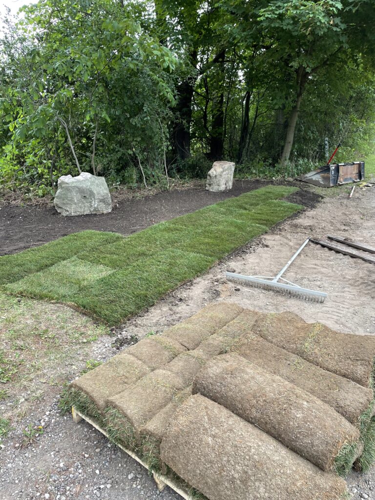 Sod installation fresh rolls on pallet