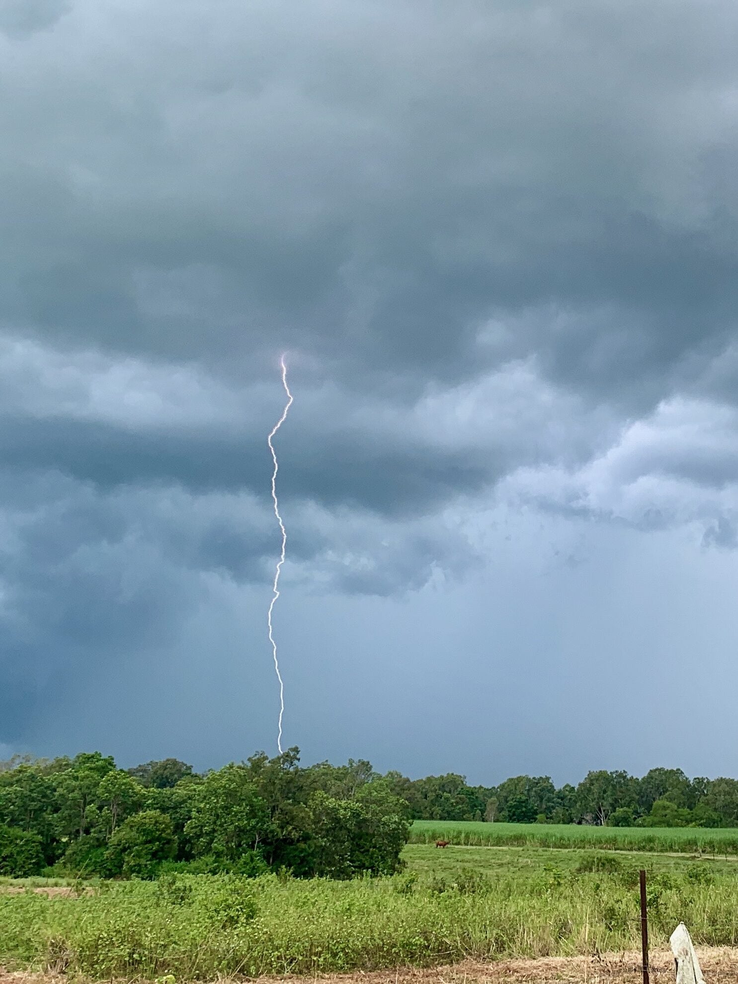 Our neighbor lives miles away. His cows run in the paddock next to ours. We keep an eye on his cattle, especially during severe weather. My daughter took this incredible photo last week! Several cows got frightened and escaped. They were promptly mustered back into their paddocks by my daughters and their horses. In return, we borrow farm tools like post-hole diggers and hay bale lifters and use his cattle yards. A great deal for all!