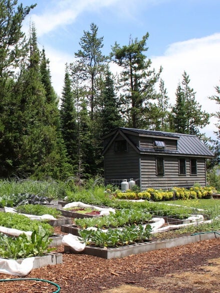 tiny house with a massive garden in the middle of the woods
