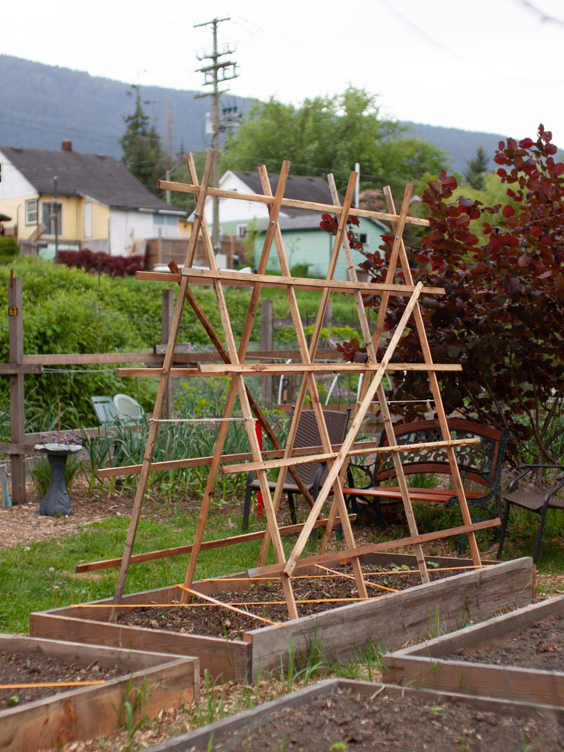 A large, wooden A-Frame trellis sits on top of a raised garden bed in a community garden. Cucumbers, tomatoes and other vining plants really benefit from growing up a trellis.
